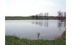 Property photo 4 - 188 Acres Offered in 5 Tracts